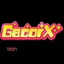 Cara Menggunakan Aplikasi gacorx untuk Pemula